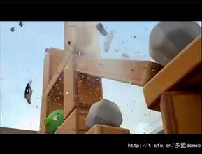 �齫���ӿھ���Ƶ��ý���ɽ�������ҵ���ܼ��š�һ�����֡�������(ͼ)...